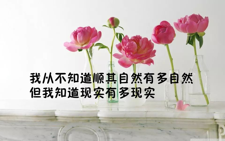 唯美的句子说说心情 早安励志心语简短句子