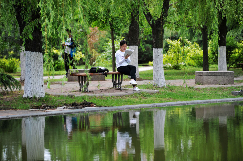 5月7日,山东科技大学校园,大学生们在墨水河畔读书