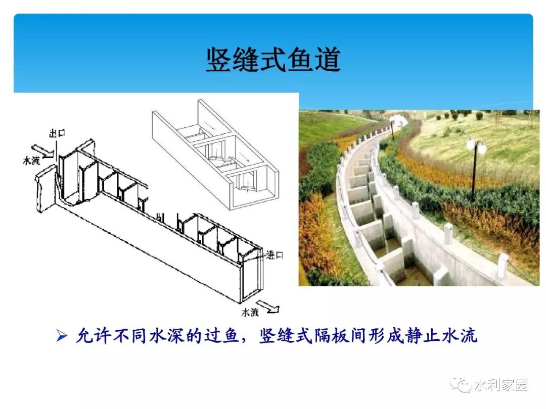 黑坑鱼道图解图片