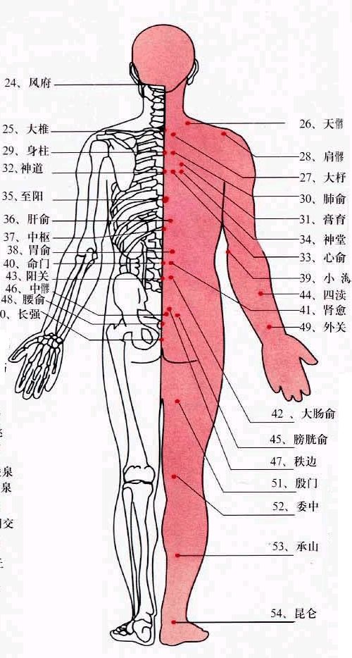 用硬幣刮這裡不到3天五臟六腑的毒素就太神奇了