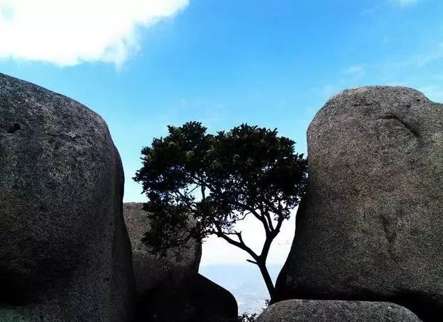 猛虎蹲在江口十分有趣by百度旅遊粗蘆島這是一個富有神奇色彩的島島上