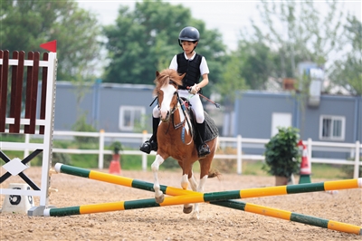 騎域馬術 挖掘馬術樂趣 助力綜合素養提升