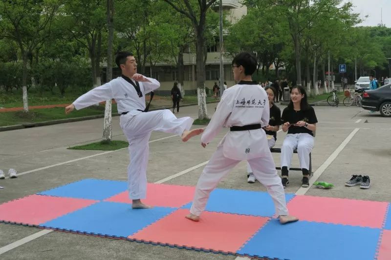 跆拳道表演跆拳道協會更是新時代青年的堅毅你展現的不僅僅是中華武術