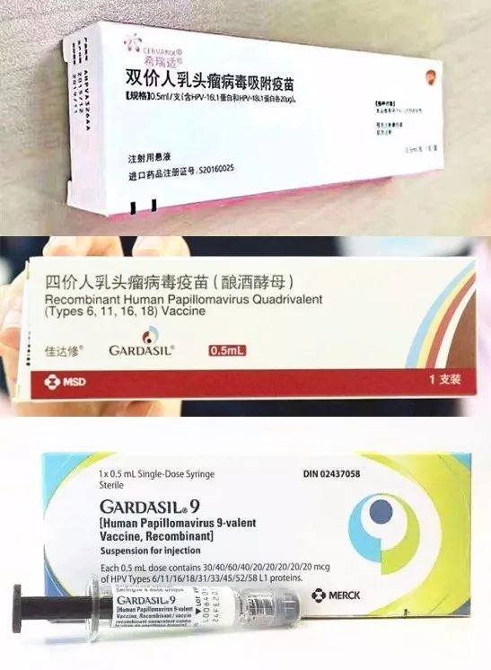 深圳人,九價宮頸癌疫苗終於要來了!超過這個年齡就別等了!