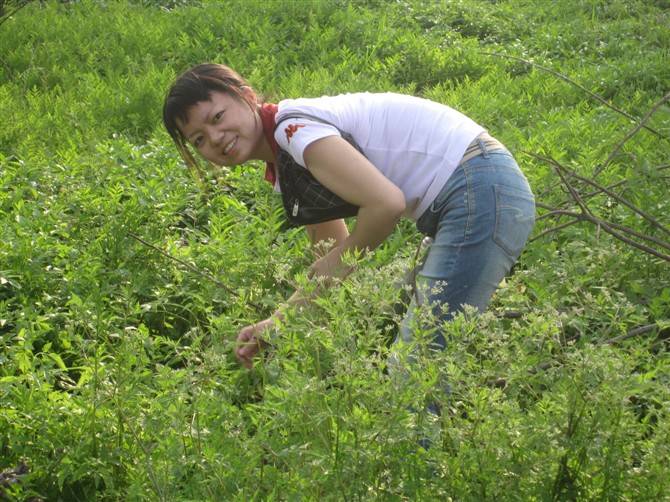 日子过得很好,可好景不长,在女孩三岁,男孩只有四个月的时候,秦华就患