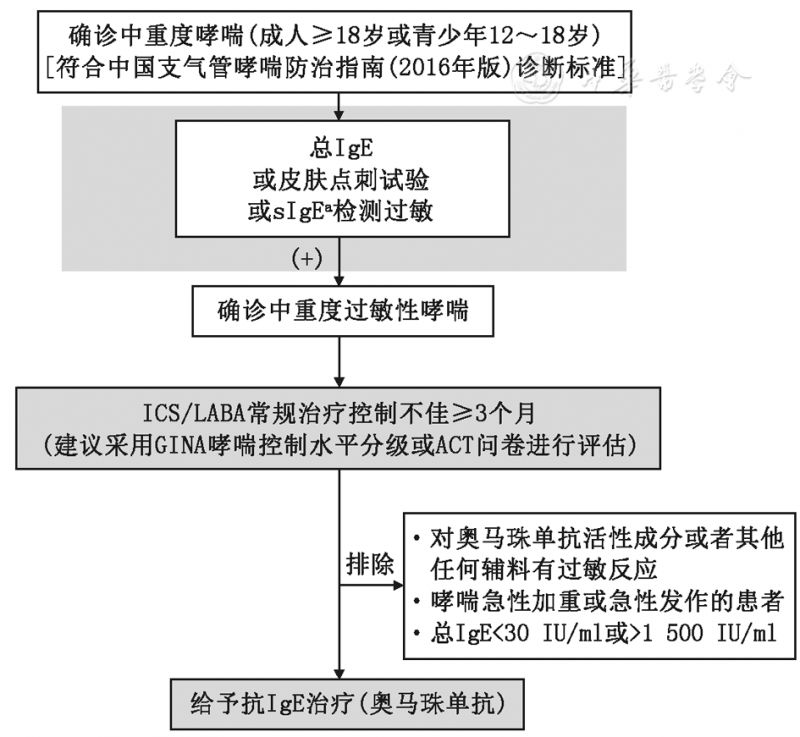 ige病理生理學和過敏性哮喘發病機制,抗ige治療的簡介,奧馬珠單