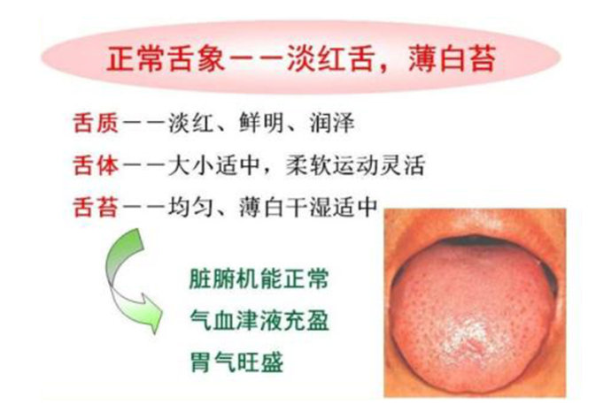  舌頭偏左和偏右的區(qū)別_舌頭偏左和偏右的區(qū)別圖