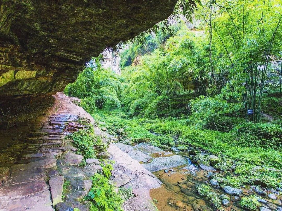 徒步旅行 |5月16日 成都最近的玻璃棧道 金雞谷穿越