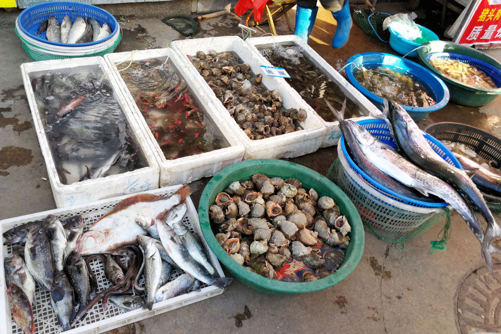 皮皮虾,鲜鲅鱼,八带鮹 休渔后菜市场鲜活海鲜数量少价正常