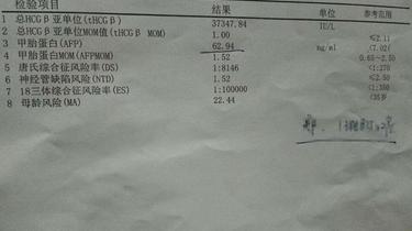 甲胎蛋白定量参考值图片