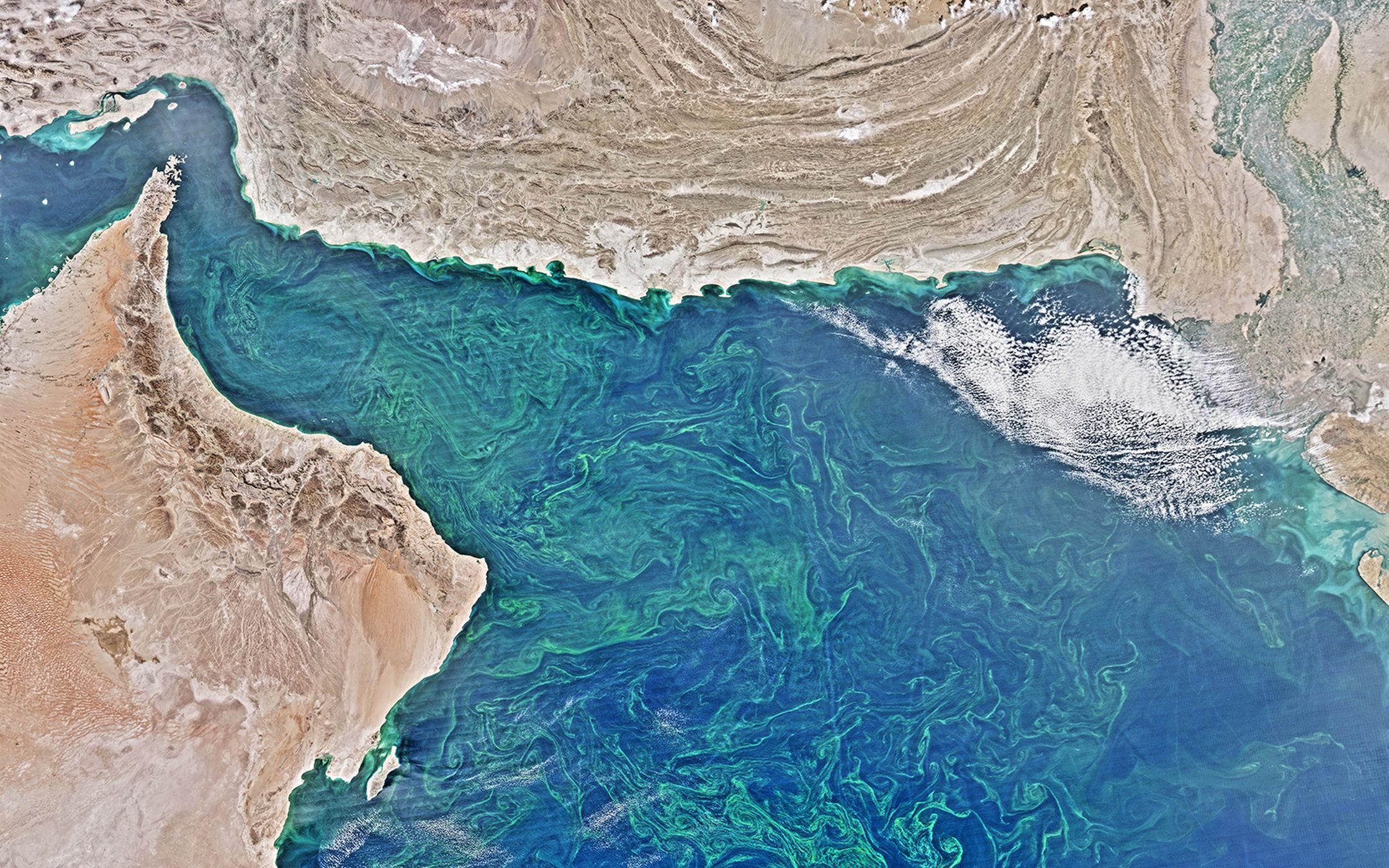 阿拉伯海北界图片