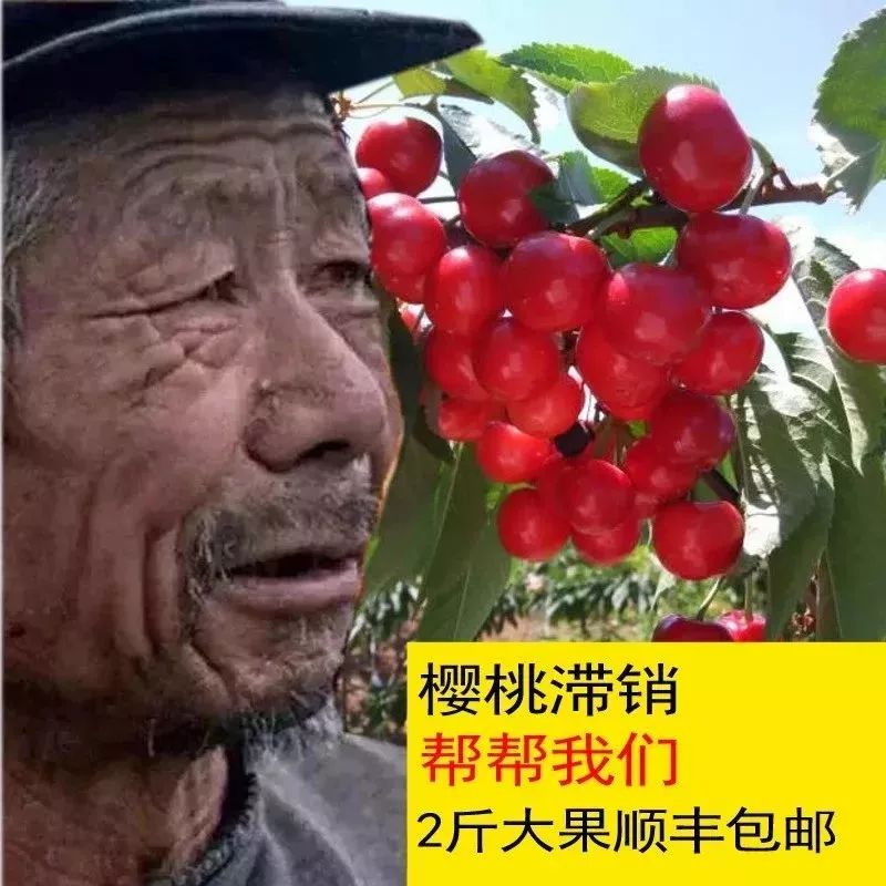 不少像下面這樣的圖片更是經常看見以