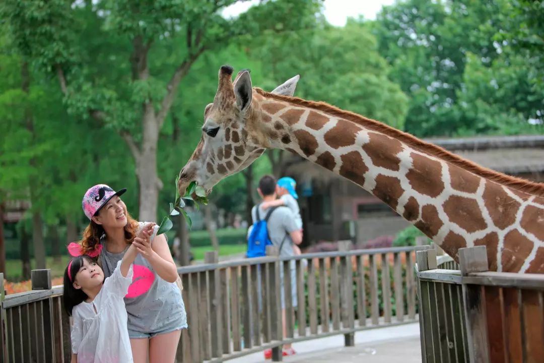 太原動物園!今日起閉園,原因是.