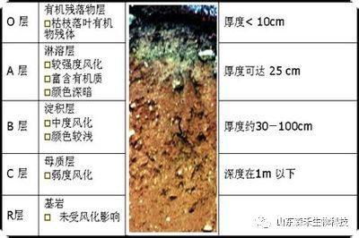 土壤分层五个层次图片图片