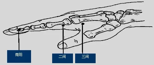 經絡篇十二經脈之手陽明大腸經各穴位詳解