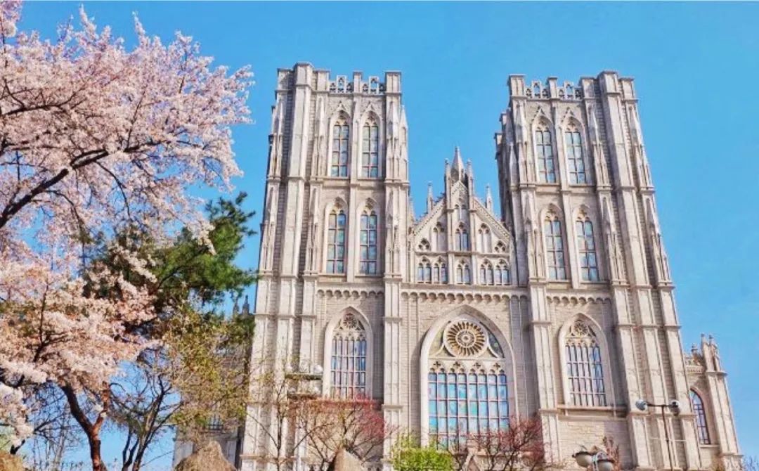 韩国庆一大学图片