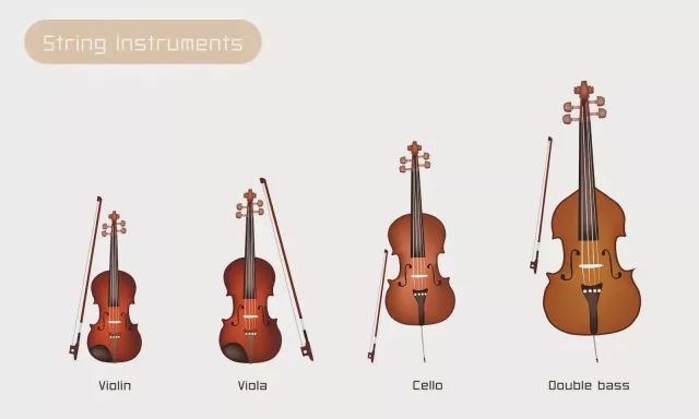 大提琴不是大的小提琴01陈老师有以下几点与大家分享关于大提琴百科