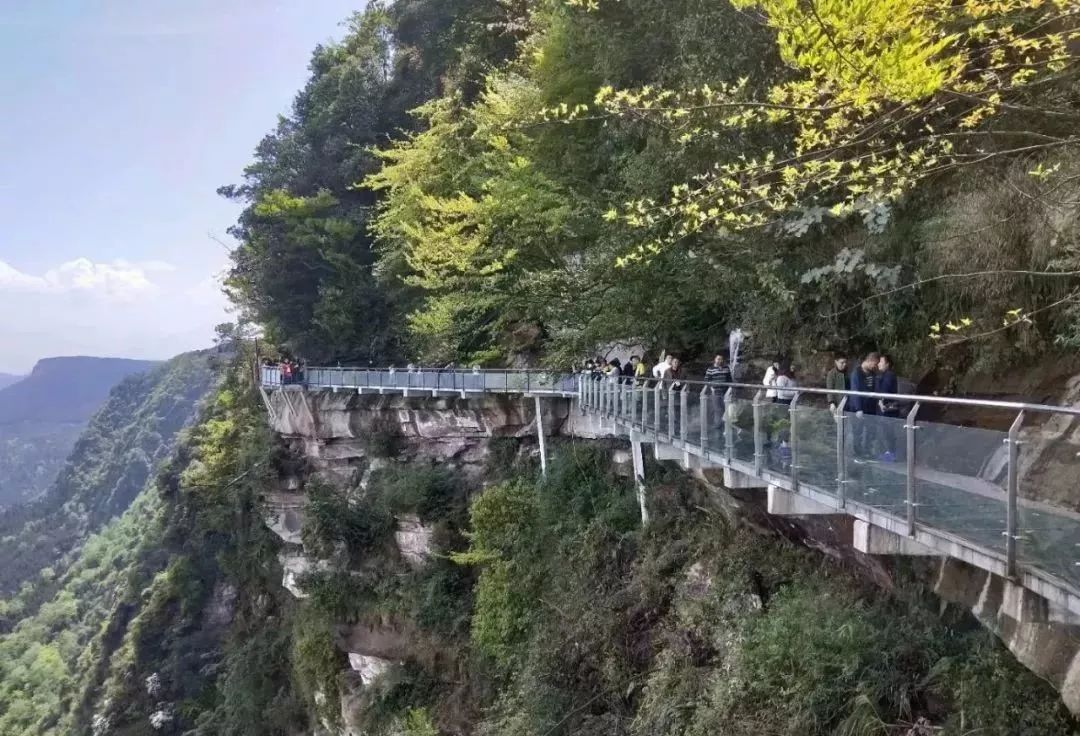 前段時間新開放的玻璃棧道刷屏朋友圈,就在玉屏山,據說是全四川第一長