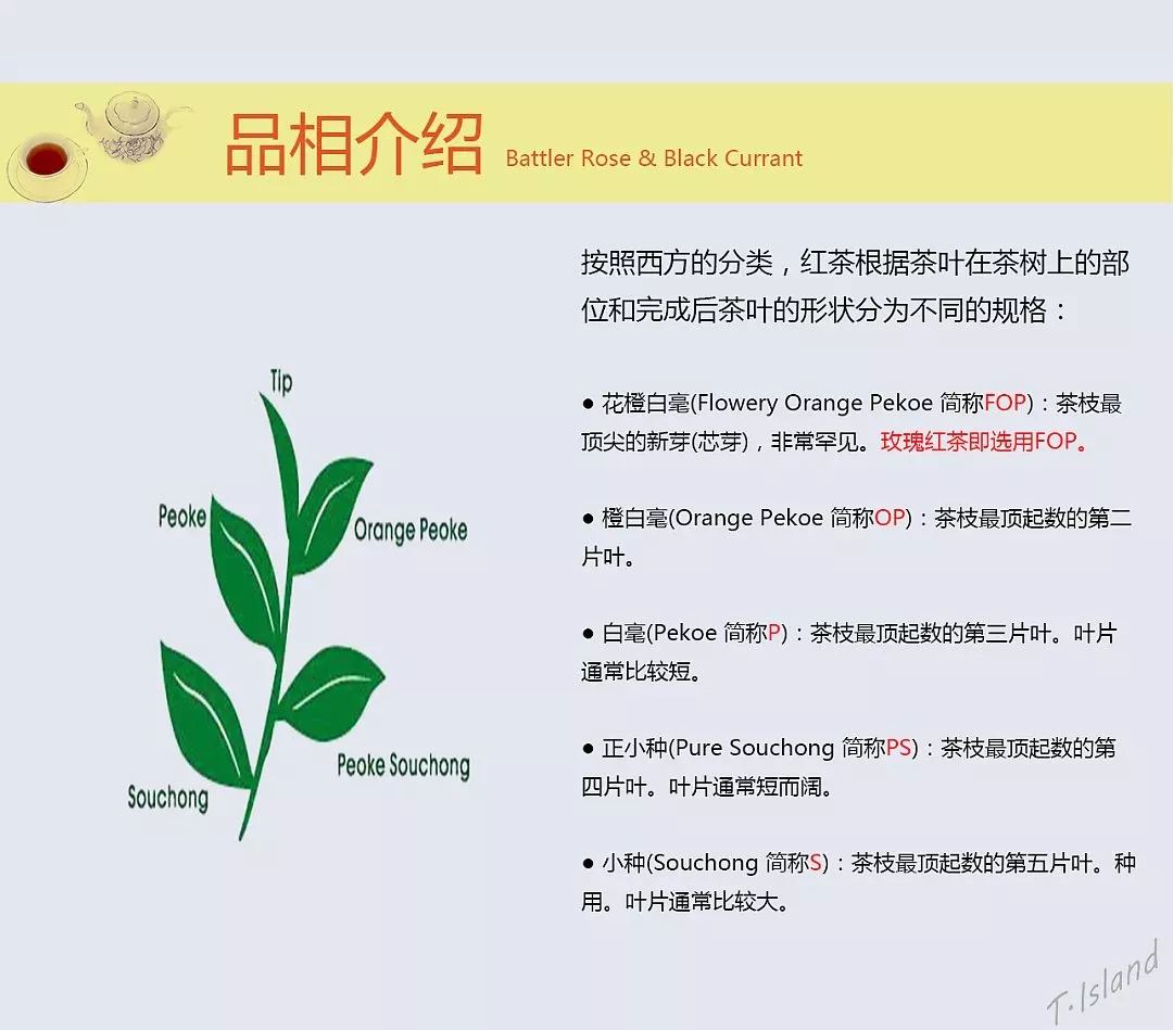 小白速成斯里兰卡红茶怎样选锡兰茶的前世今生