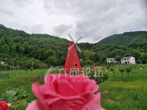 霍山单龙寺鲜花小镇图片