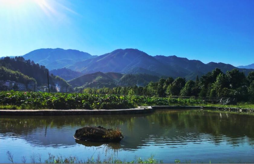 广丰翁岭村图片