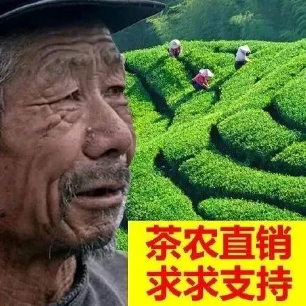 滞销 搞笑图片