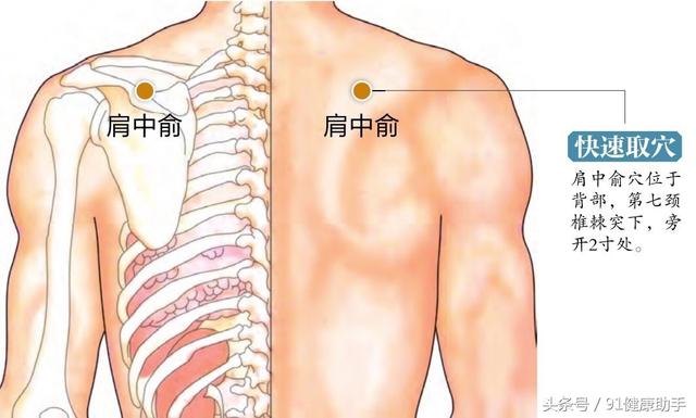 肩中俞的准确位置图图片