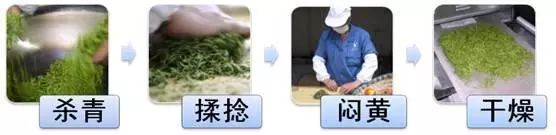 黄茶加工工艺:黄茶很少见,甚至生活在黄茶茶区的人都不一定知道黄茶.