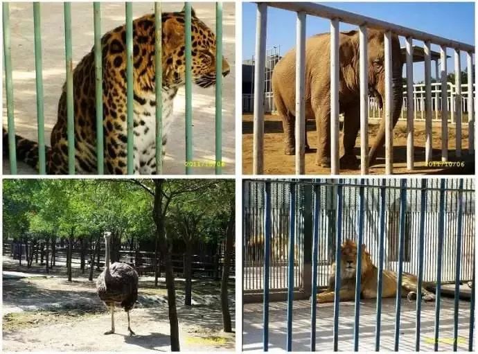 太原動物園!晉中人速看!