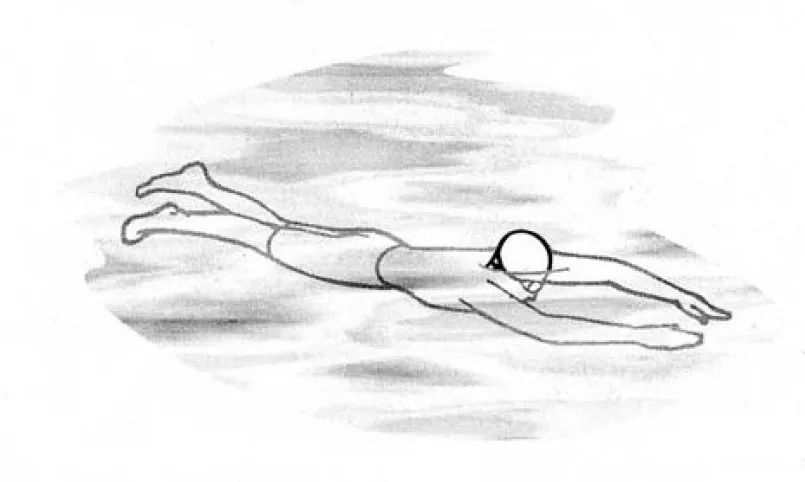 游泳运动员速写图片