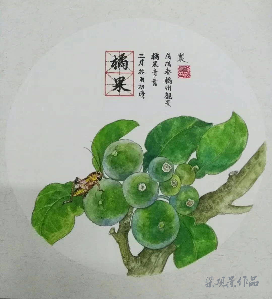 速度围观|化州"灵魂画家"笔下的化橘红