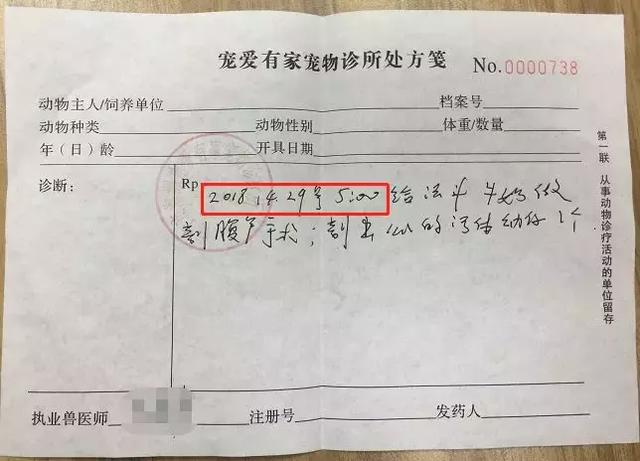 海宁宠爱有家宠物诊所向安安宠医海宁总院出具的处方笺,显示剖腹产