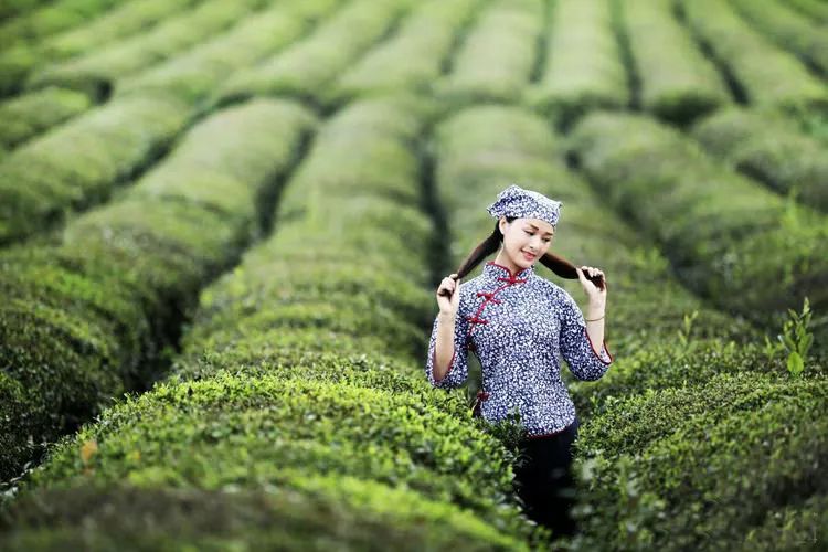 茶水美图女孩图片