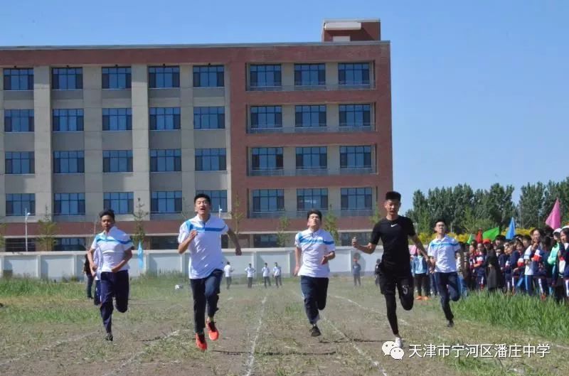 天津市宁河区潘庄中学图片