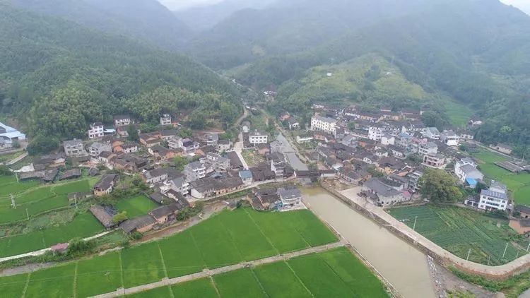 龙泉市屏南镇横坑头村 龙泉市竹垟乡安坑村 龙泉市道太乡夏安村 应