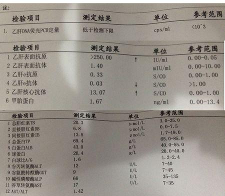 谷丙轉氨酶持續升高大於80,也就是超過正常值上限(40)的兩倍;病毒定量