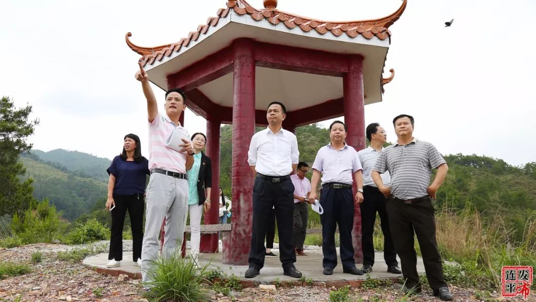 当天下午,林文泉一行先后到绣缎镇关爷埂,大湖镇何新屋古村等地,通过