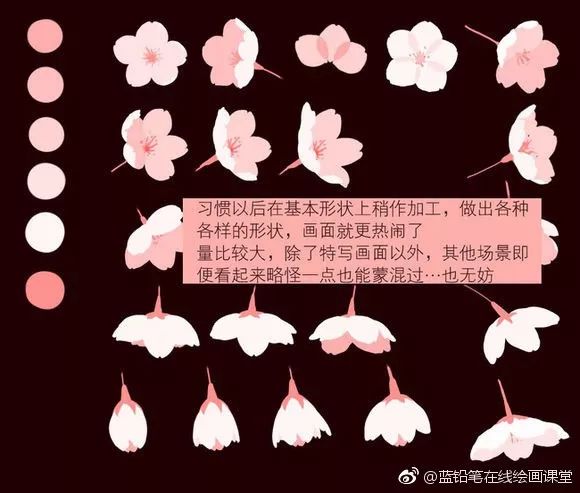 樱花的变化过程图片