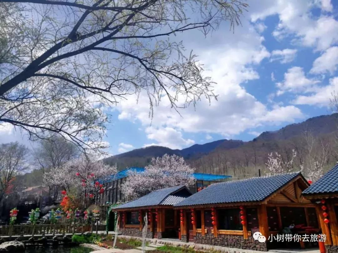 本溪行小樹旅遊本溪私家莊園小市一莊本溪關山湖風景區遊船高空玻璃橋