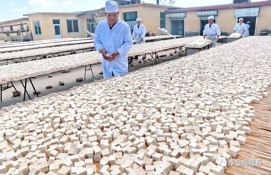 揭秘拥有近百年历史的海阳白腐乳土法制作工艺