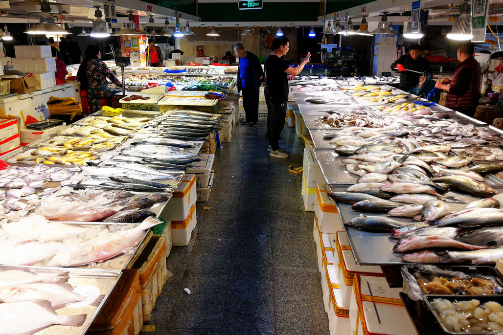 海鲜市场鲜活海鲜多得令人眼花缭乱 鲜活,野生,养殖,进口都有