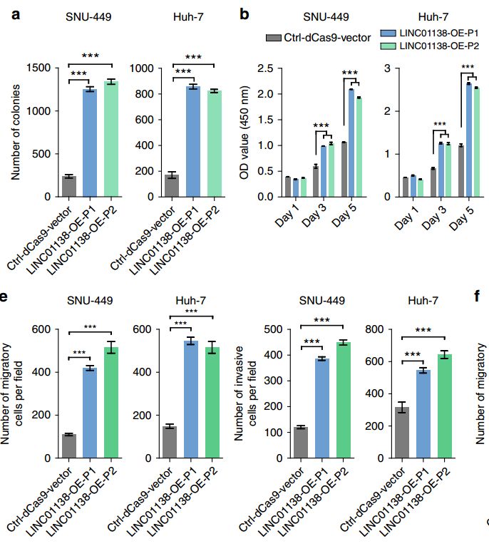 想做lncrna與蛋白互作rnapulldown技術瞭解一下