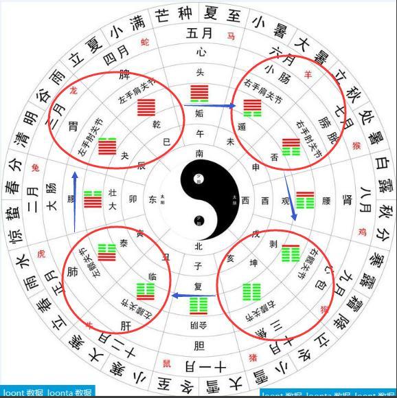 五行体系是封闭的,六经体系也是封闭的,是一套系统,只不过和现代医学