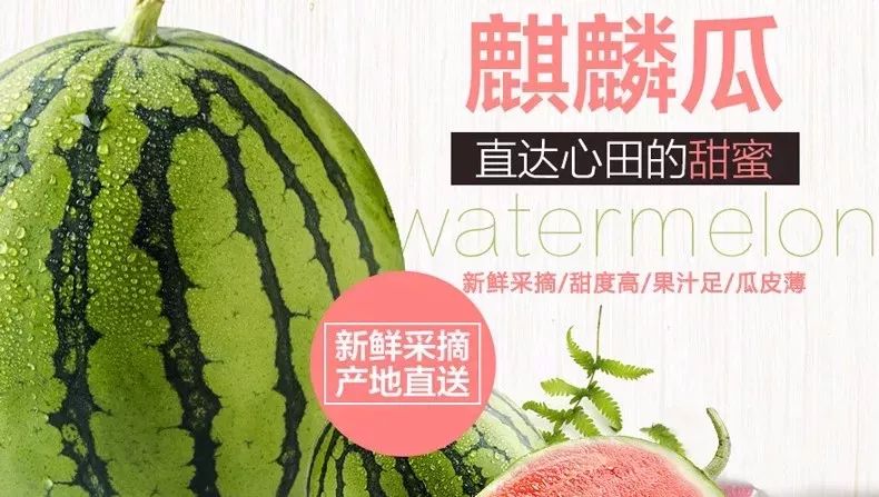 【麒麟西瓜】初夏已至,是不是缺一份清凉?