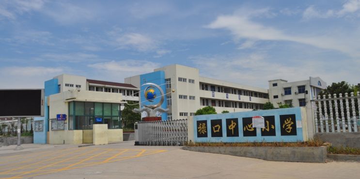 禄口小学图片