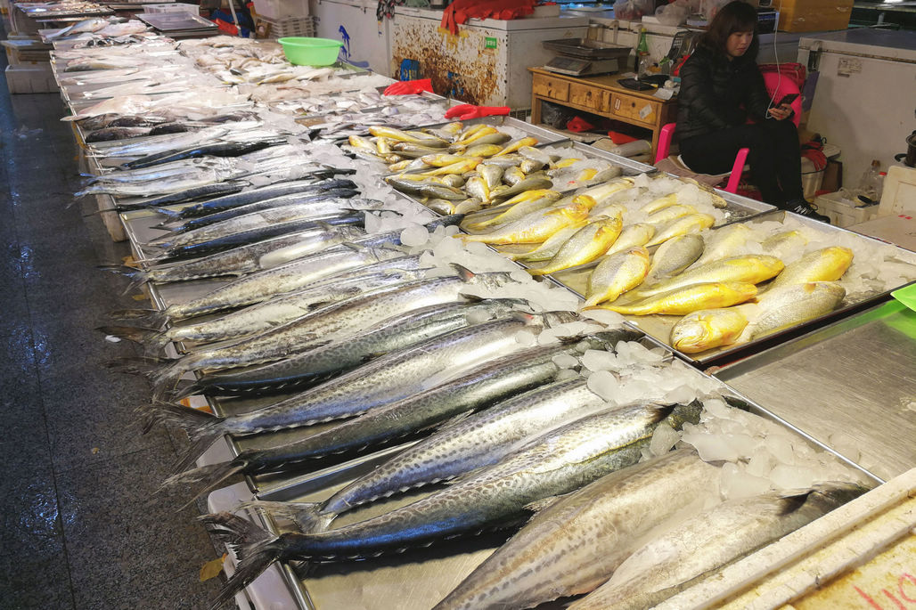 青岛武夷山路海鲜市场即使休渔期内也是品种繁多价格适合各档次