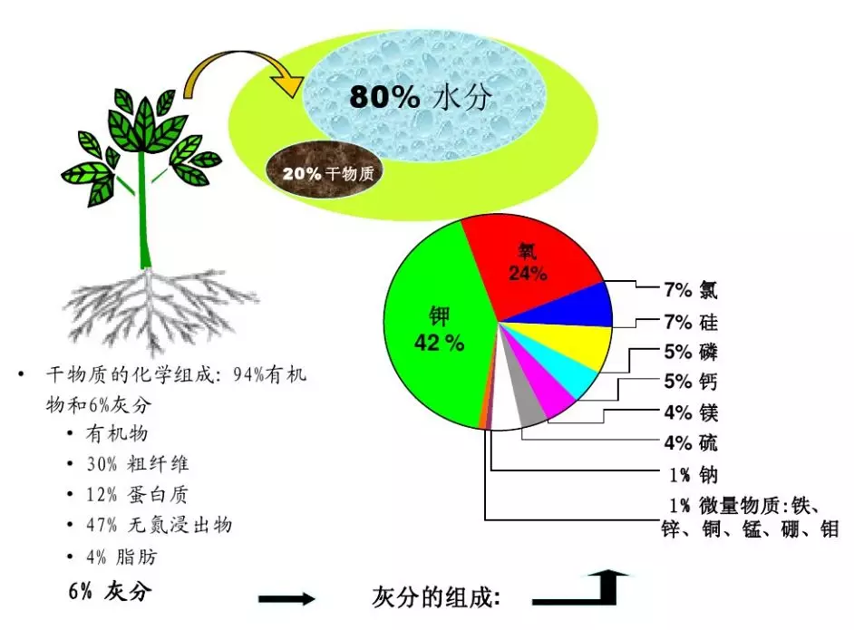 植物中必须营养元素功能介绍肥料的种类肥料分类:无机肥料,有机肥料