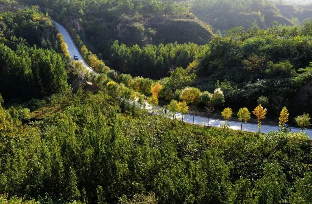 进一步加快侯寨森林公园建设,郑州市园林局组织相关单位编制了《郑州