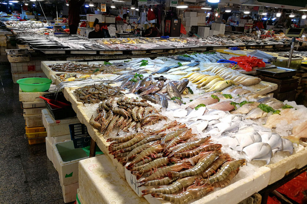 青岛武夷山路海鲜市场即使休渔期内也是品种繁多价格适合各档次