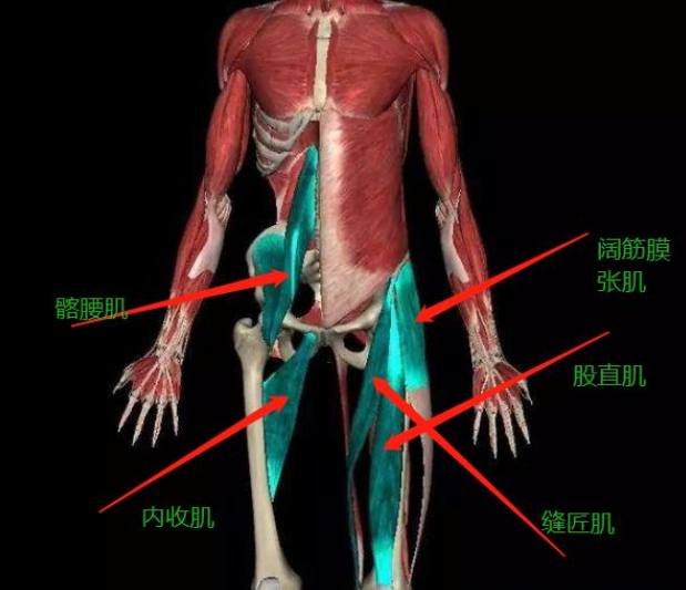 腰椎间盘突出的伽人有一定的挑战,所以要选择屈膝或是骨盆垫高来练习